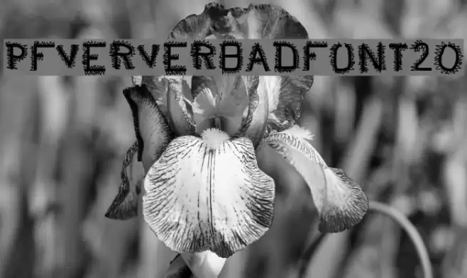 pf_veryverybadfont20 Font examples