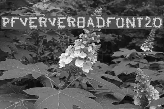 pf_veryverybadfont20 Font examples