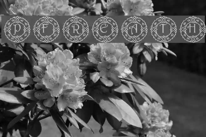 pf_wreath examples