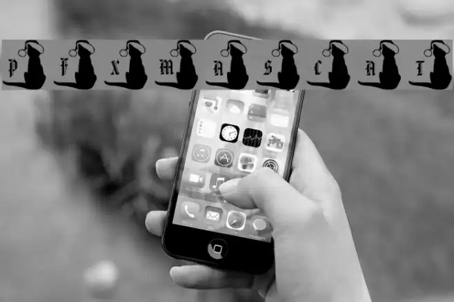 pf_xmas_cat Font examples