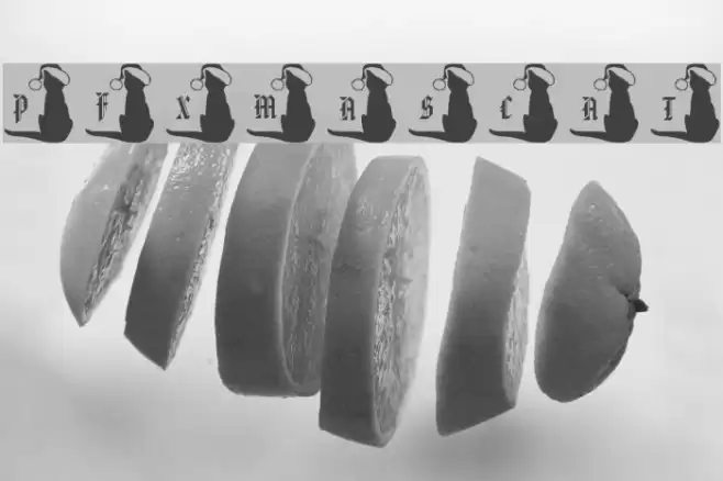 pf_xmas_cat Font examples