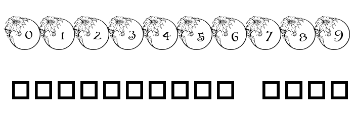 pf_xmas_flower1 Font OTHER CHARS