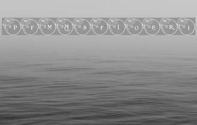 pf_xmas_flower1 Font examples