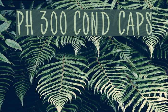 PH 300 Cond Caps Font examples