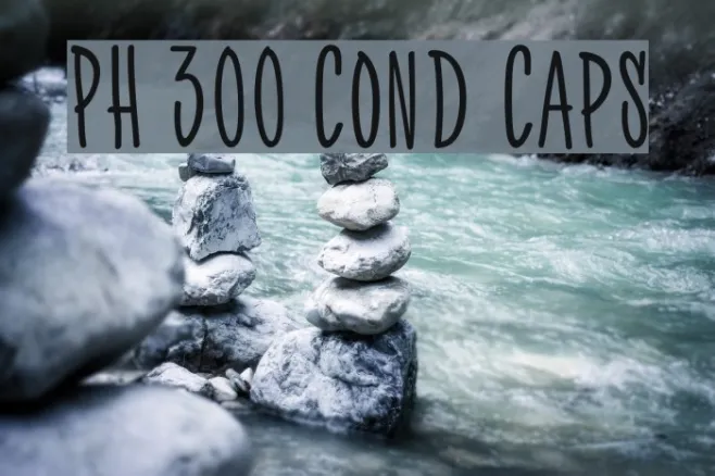 PH 300 Cond Caps Example 2
