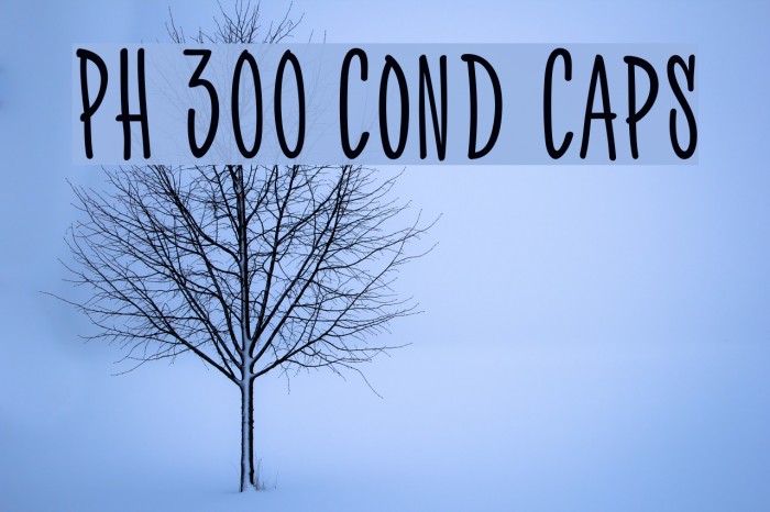 PH 300 Cond Caps Font examples