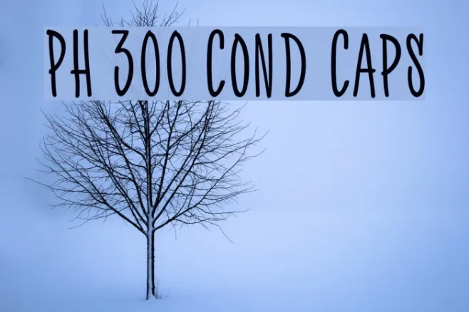 PH 300 Cond Caps Example 3