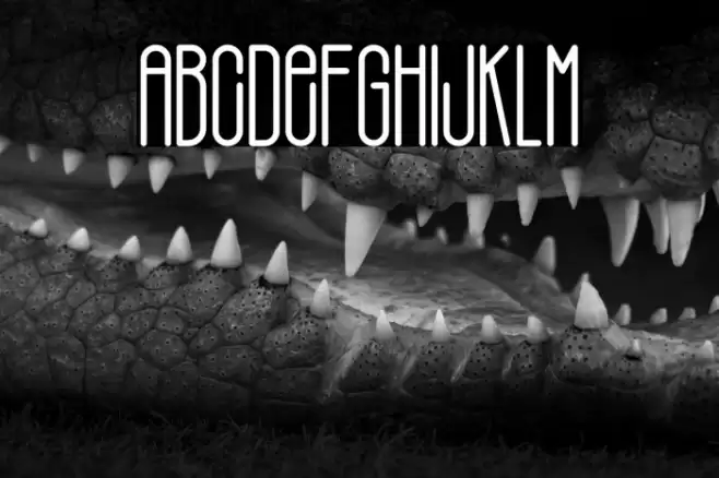 PHILBROOK Font examples