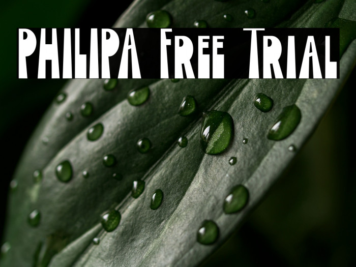 PHILIPA Free Trial Example 3