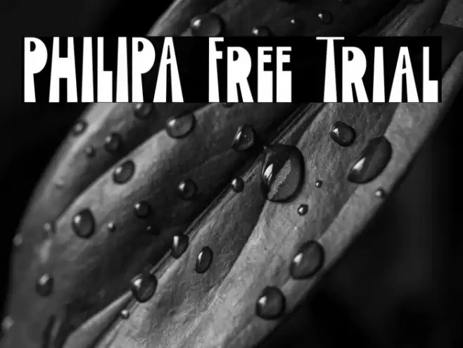 PHILIPA Free Trial 字体 examples