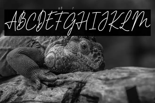 PHILIPS MORRIES DEMO Font examples