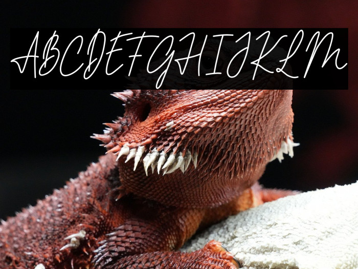 PHILIPS MORRIES DEMO Example 2