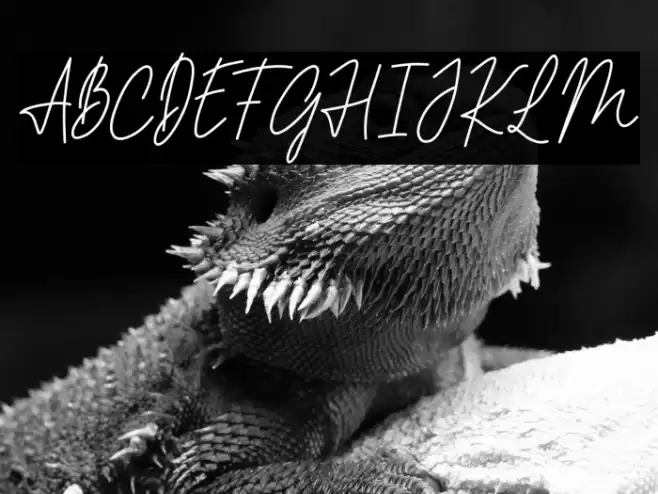 PHILIPS MORRIES DEMO Font examples