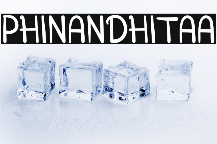 PHINANDHITAA Example 2