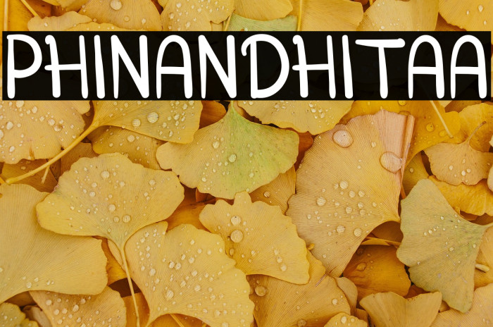 PHINANDHITAA Example 3