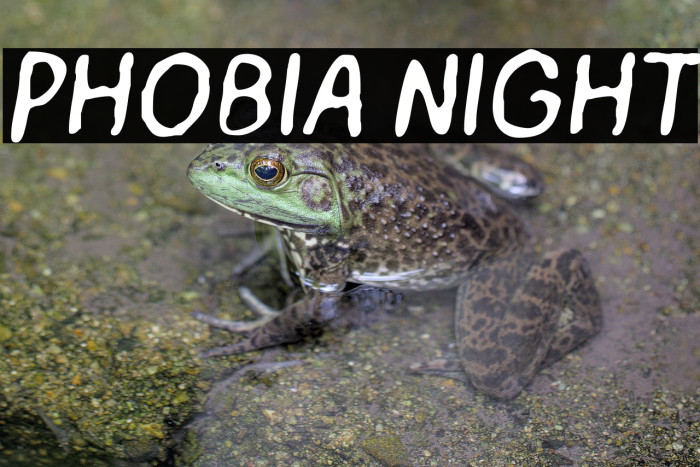 PHOBIA NIGHT Example 1