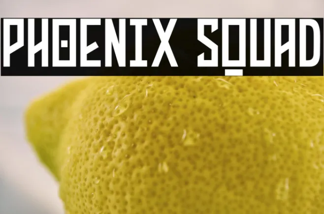 PHOENIX SQUAD Example 1