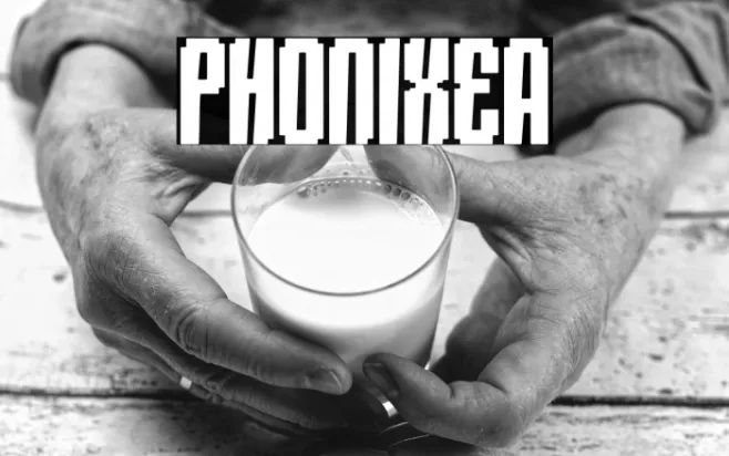 PHONIXEA Example 1