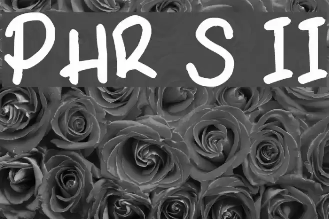 PHR Scrypt II Font examples