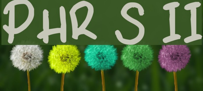 PHR Scrypt II Example 2