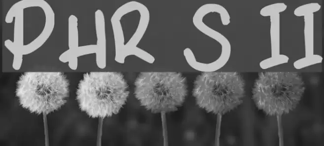 PHR Scrypt II Font examples