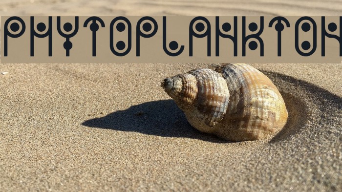 PHYTOPLANKTON Font examples