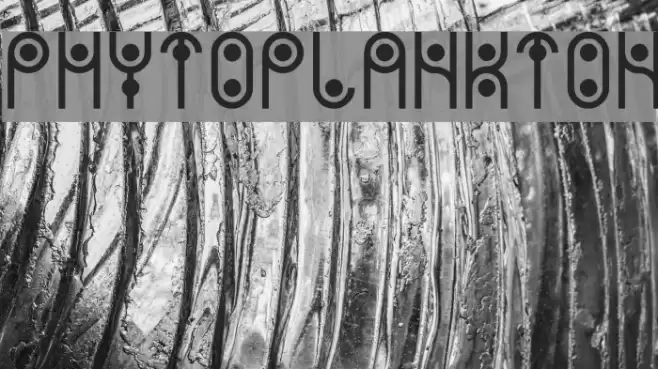 PHYTOPLANKTON Font examples