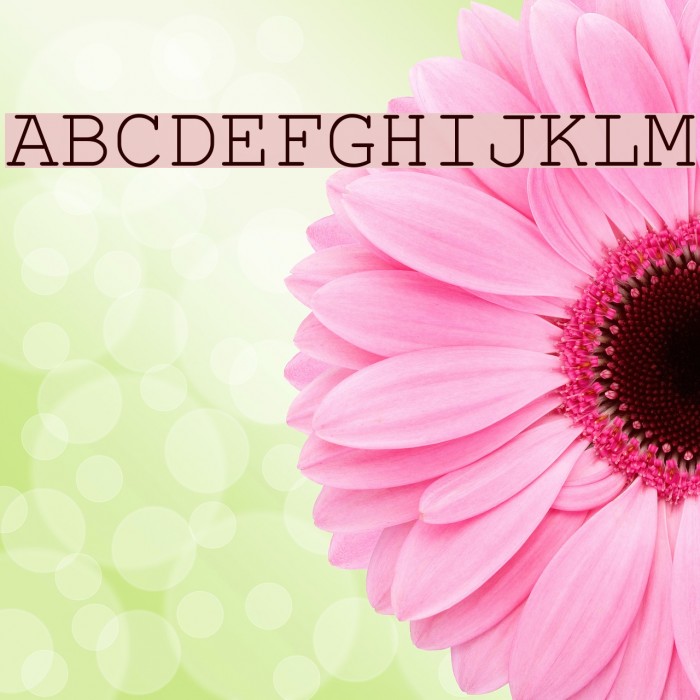 PhaisarnMono Font examples