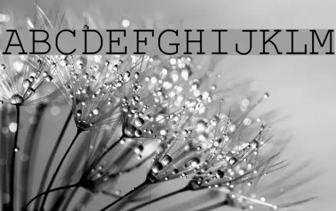 Phaisarn Schriftart examples