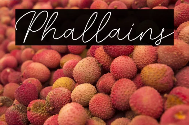 Phallains Example 3