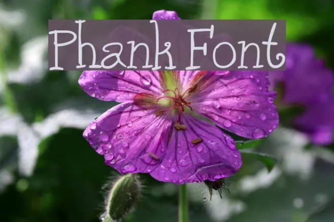 Phank Example 3