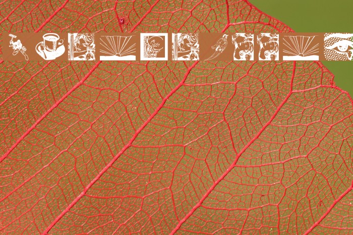 PhantaToons Font examples