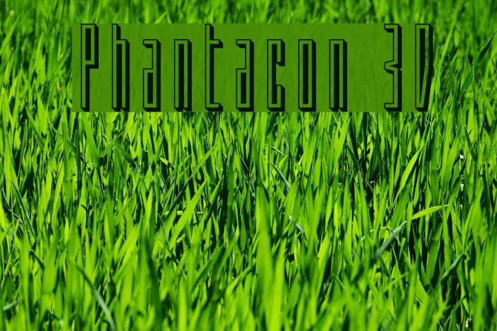 Phantacon 3D Font examples