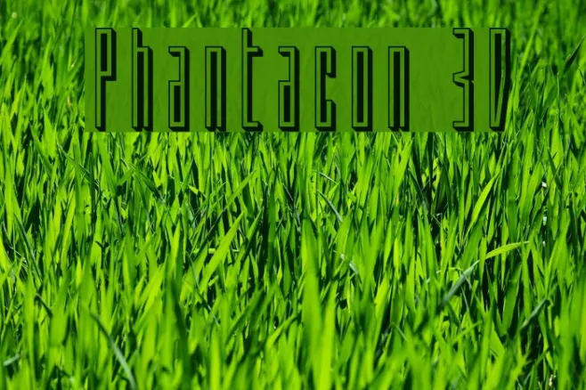 Phantacon 3D Example 2