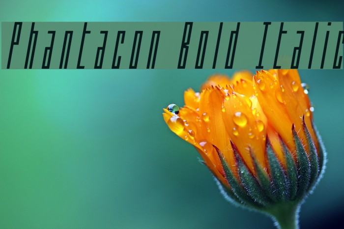Phantacon Bold Italic Example 3