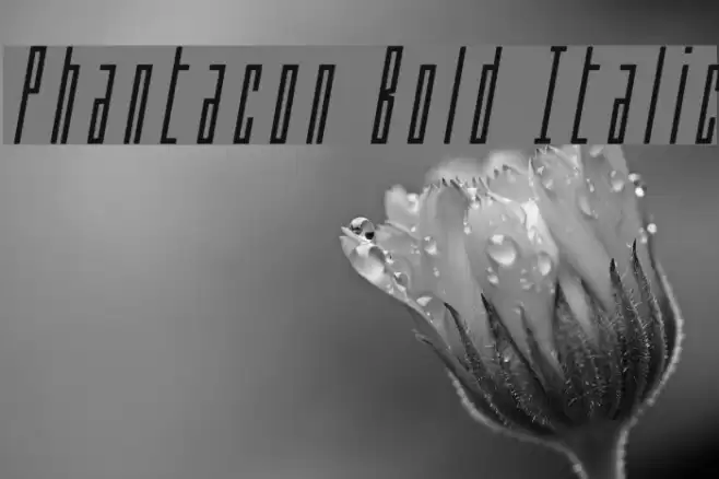 Phantacon Bold Italic Font examples