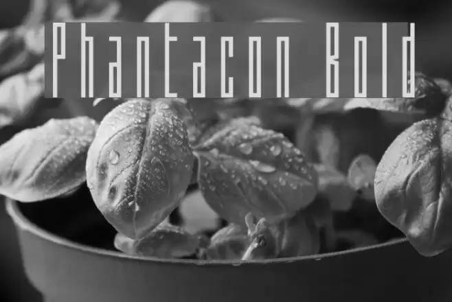 Phantacon Bold Font examples