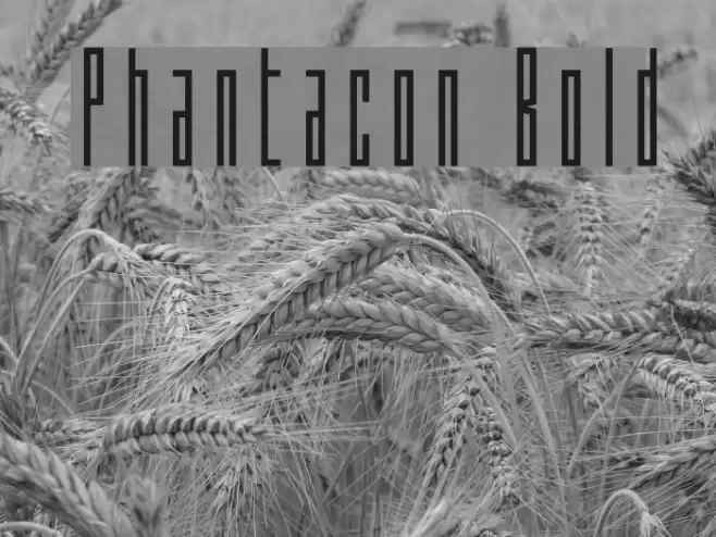 Phantacon Bold Font examples