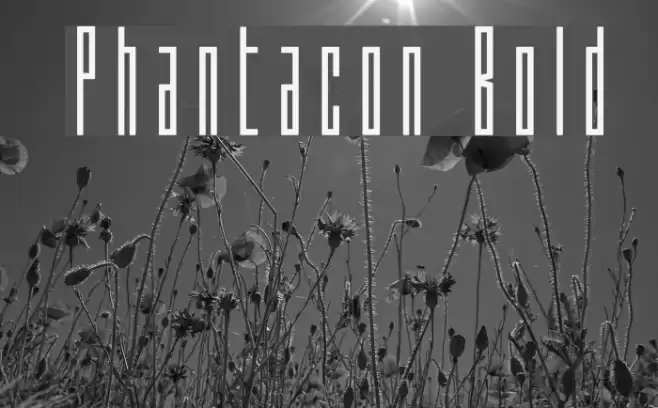 Phantacon Bold Font examples