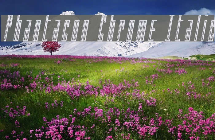 Phantacon Chrome Italic Font examples