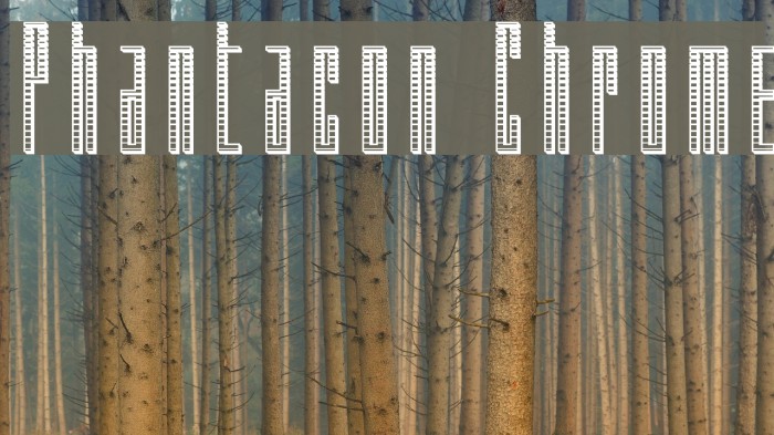 Phantacon Chrome Font examples