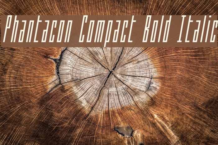 Phantacon Compact Bold Italic Font examples