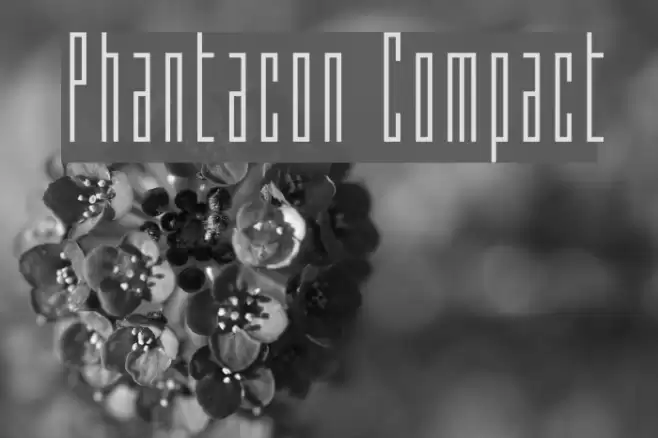 Phantacon Compact Font examples