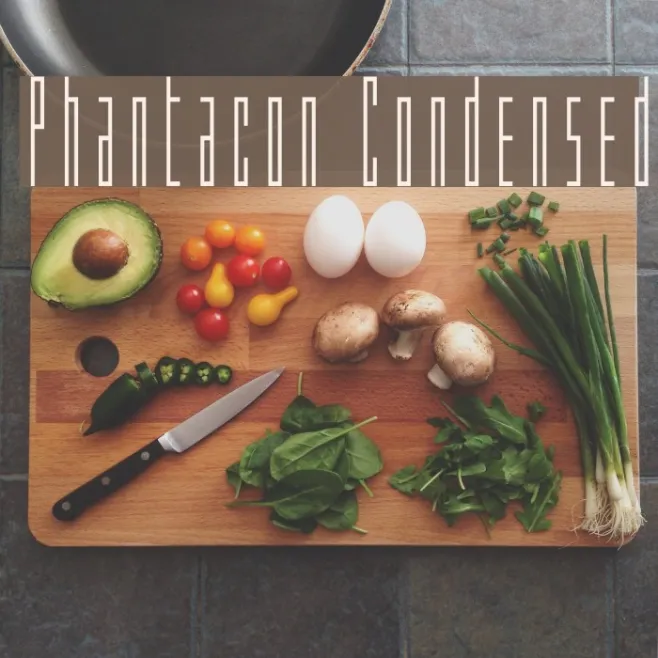 Phantacon Condensed Example 3