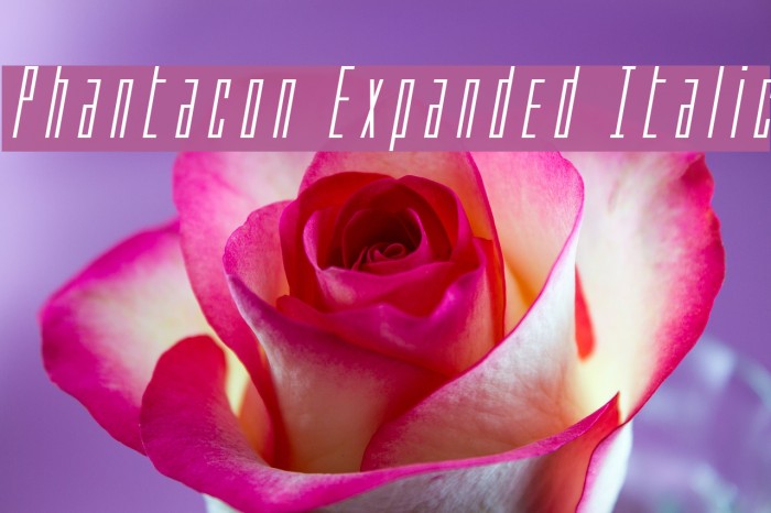 Phantacon Expanded Italic Example 1