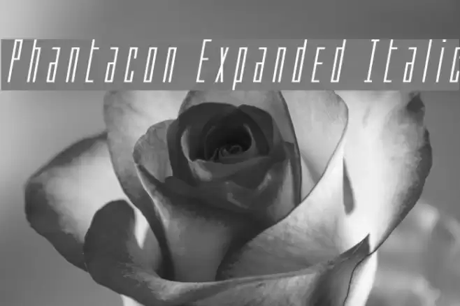 Phantacon Expanded Italic Font examples