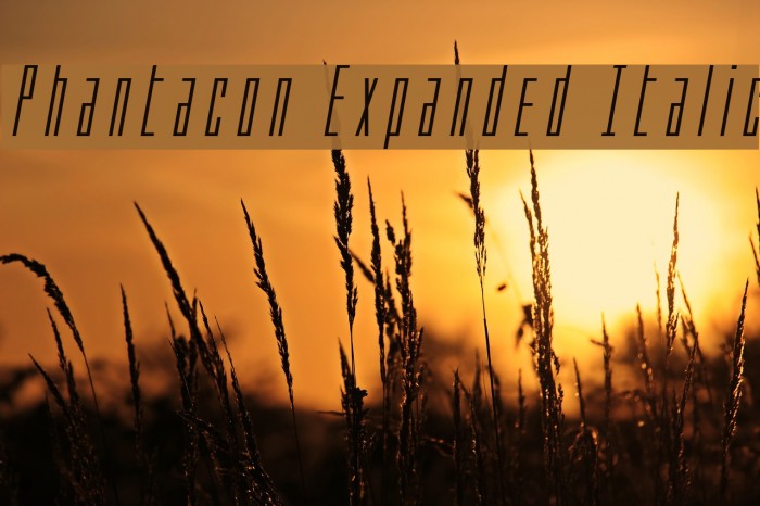 Phantacon Expanded Italic Example 2