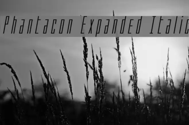Phantacon Expanded Italic Font examples