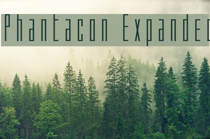Phantacon Expanded Font examples