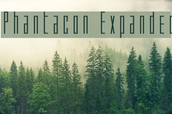 Phantacon Expanded Example 1